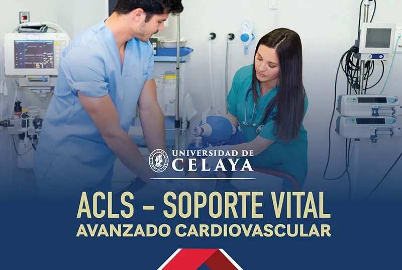 imagen curso